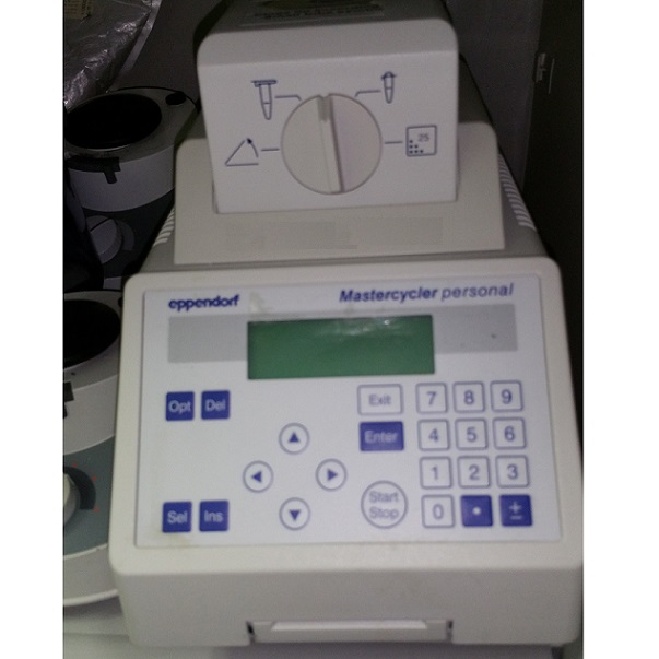 Mastercycler Personal מכשיר PCR יד שניה Pre-owned